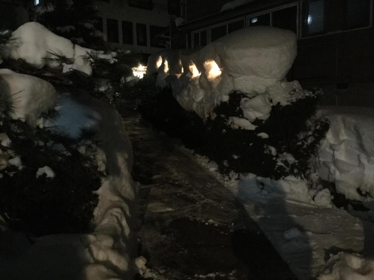 Tobei Otel Nozawaonsen Dış mekan fotoğraf